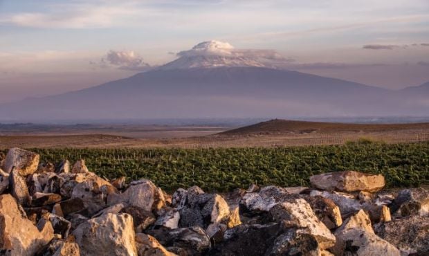 WineStory. &laquo;Karas&raquo; - как ренессанс армянского виноделия завоевывает рынок США